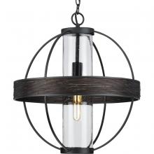 Progress P550111-31M - P550111-31M 1-60W MED OUTDOOR PENDANT