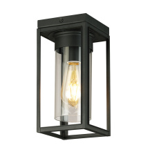Eglo Canada 203667A - 1 LT Outdoor Flush Mount w/ Matte Black Finish & Clear Glass Shade
